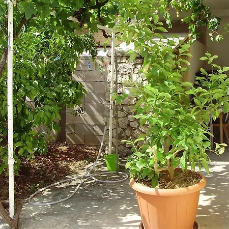 Apartments Jakobina Brodarica  Exterior photo