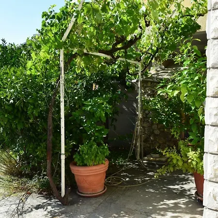 Apartments Jakobina Brodarica  Exterior photo